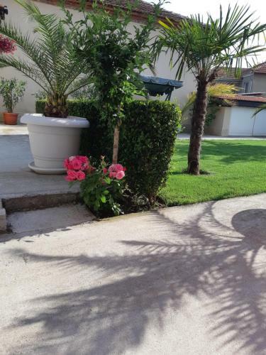 Hostal Villa Ros Guest House