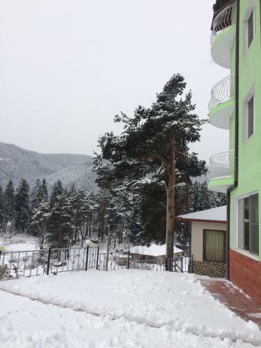 Family Hotel Panorama