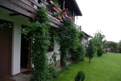 Hostal Guest House Dan Kolov