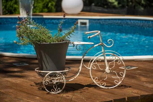 Hostal Guest House Slunchev Cviat