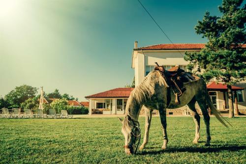 Hostal Guest House Ongal