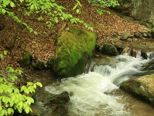 Hostal Guest House Valchanovata Kashta