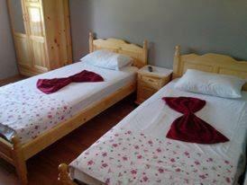 Hostal Draganov House