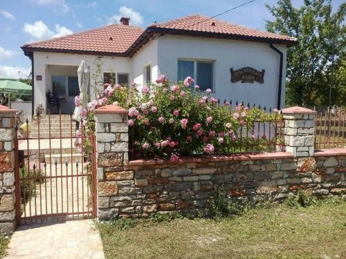 Hostal Draganov House