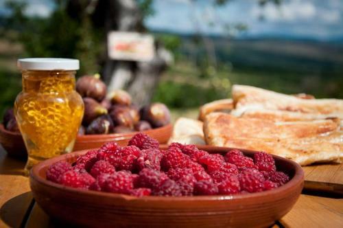 Bed & Breakfast Cob Camp