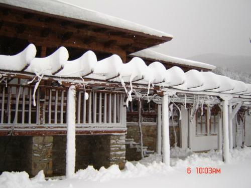 Hostal The House With The Vine Guest House