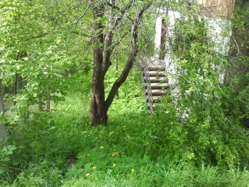 Guest House Zdravets