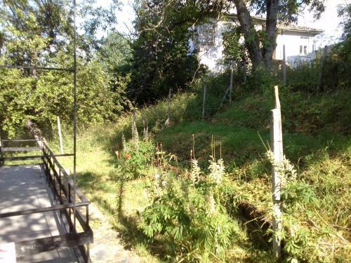 Guest House Zdravets