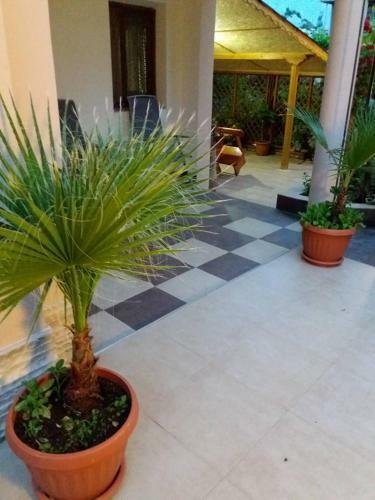 Apartamento Rooms Veska