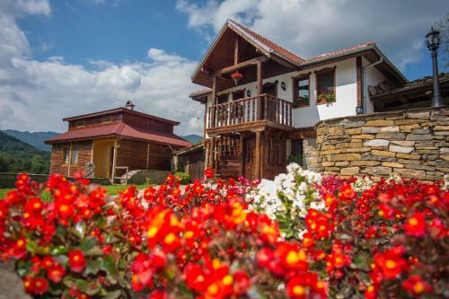 Guest House Stoilite