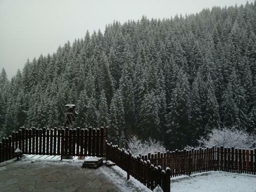 Hotel Vlahvi's House