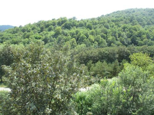 Apartment In Dilijan
