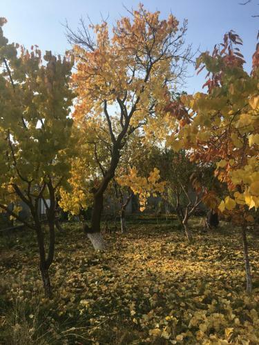 Bed & Breakfast Historic Village Guesthouse