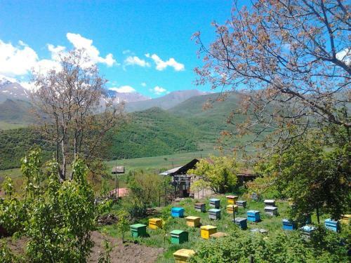 Anush`s B&B