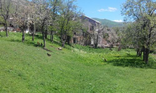 Hostal Eco Guest House In Meghradzor