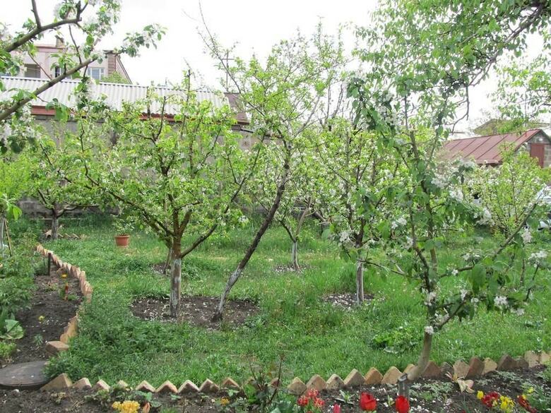 Hostal Artush & Raisa B&B