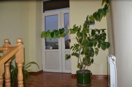 Hostal Guest House On Mashtoc 47