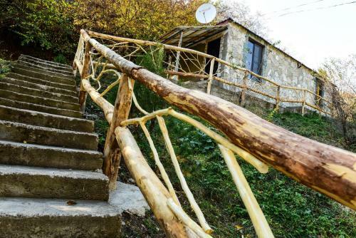 Bed & Breakfast Belveder Eco Resort
