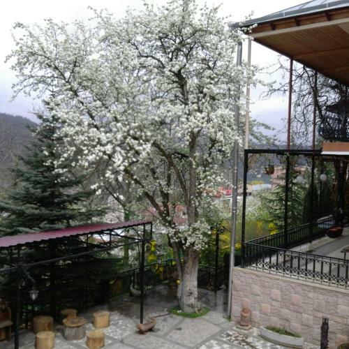 Hostal Casanova Inn - Boutique Hotel