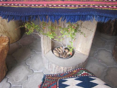 Hostal Casanova Inn - Boutique Hotel