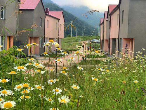 Hostal 3d Guest House