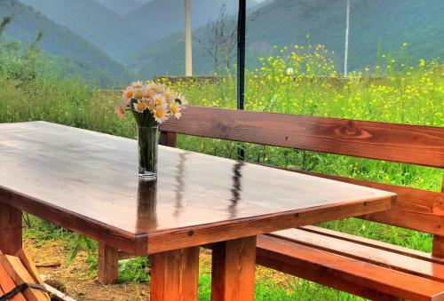 Hostal 3d Guest House