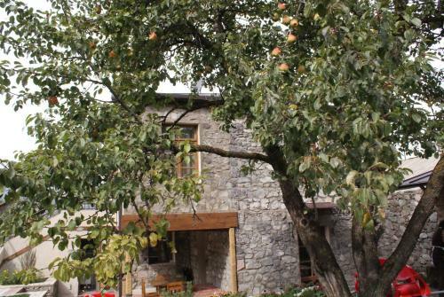 Takht House