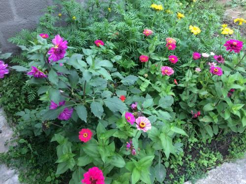 Hostal Gokor B&B