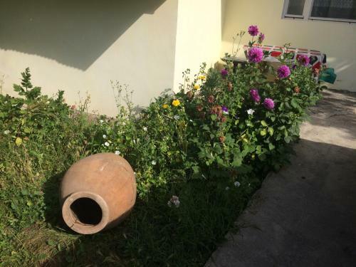 Hostal Gokor B&B