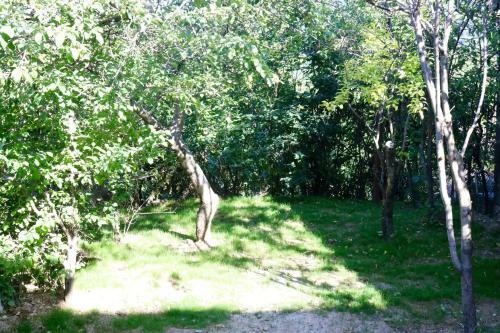Dilijan Family House