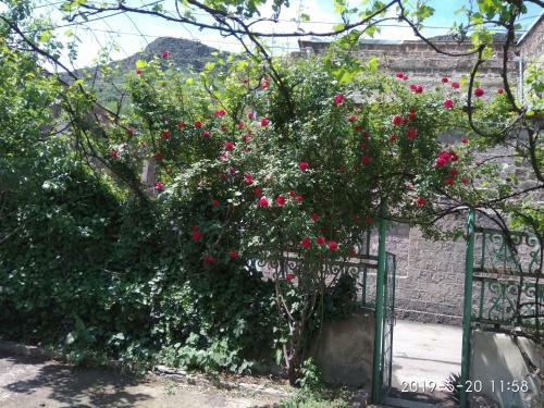 Hostal Family Guest House