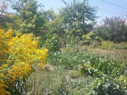 Hostal Barseghyan's Guest House