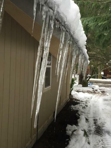 Chalet At Mt. Rainier