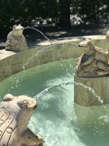 Hotel The Francis House