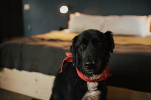 Hotel Suttle Lake & Boathouse