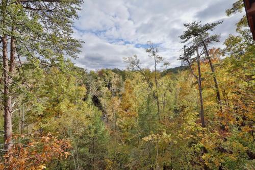 651 Country Oaks Dr Cabin