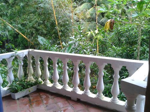 Bed & Breakfast Coibahouse