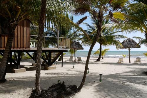 Lodge Green Parrot Beach Houses And Resort