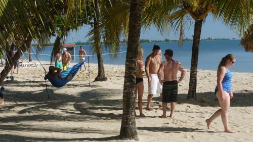 Lodge Green Parrot Beach Houses And Resort