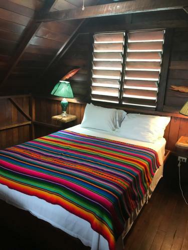 Lodge Green Parrot Beach Houses And Resort