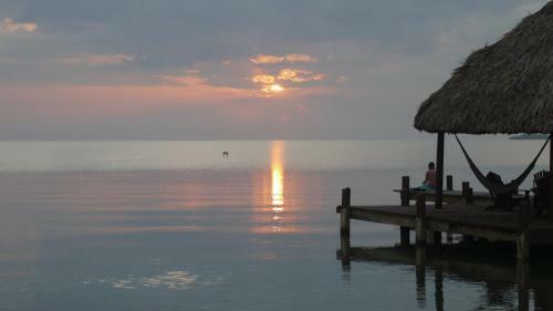 Lodge Green Parrot Beach Houses And Resort