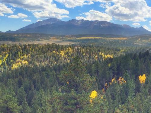 Pikes Peak Paradise Bed And Breakfast