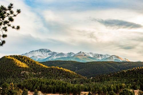Bear Cabins