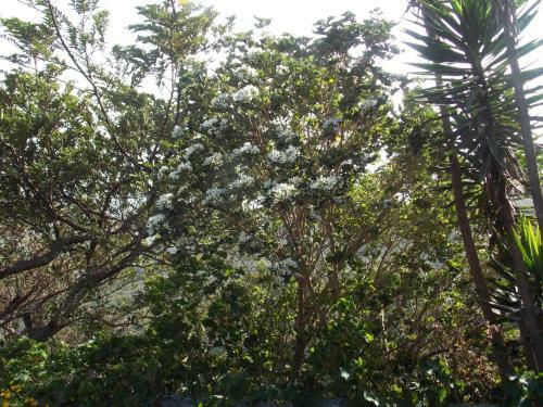 Bed & Breakfast Hotel Las Orquideas