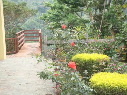 Bed & Breakfast Hotel Las Orquideas