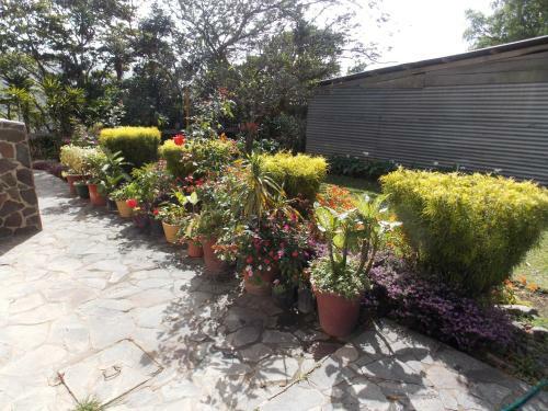 Bed & Breakfast Hotel Las Orquideas