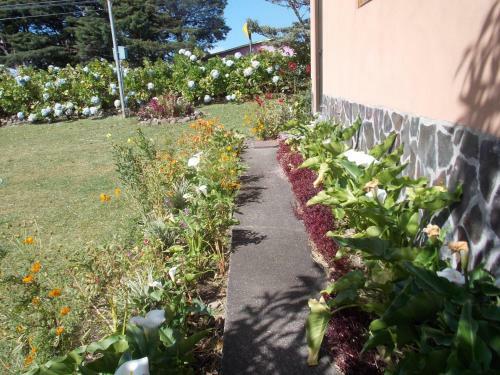 Bed & Breakfast Hotel Las Orquideas