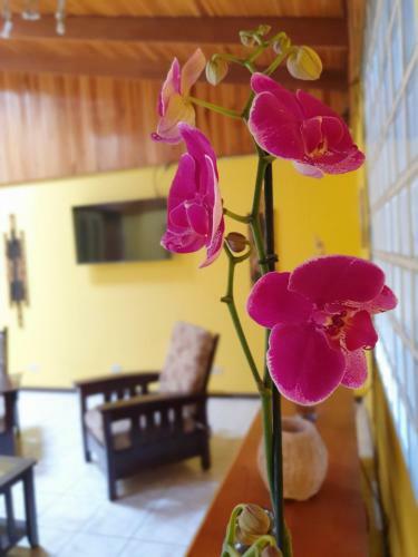 Turrialba Bed & Breakfast