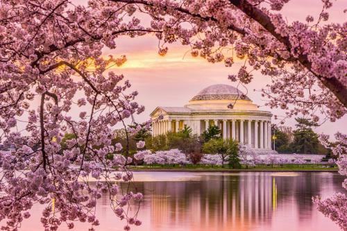 Hotel Hilton Washington Dc National Mall