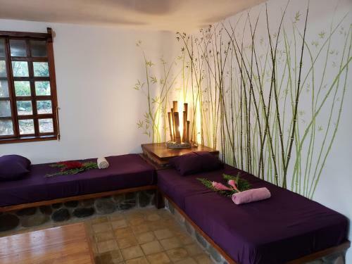 Lodge Bungalow Mal�